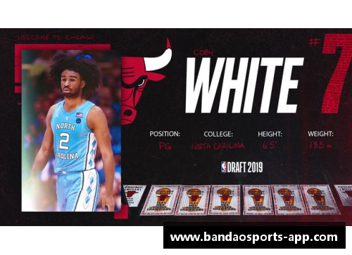 深入探索乐透球员的背后故事：职业生涯、成就与挑战