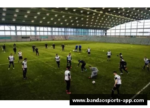 冰岛足球队：身高统计与分析