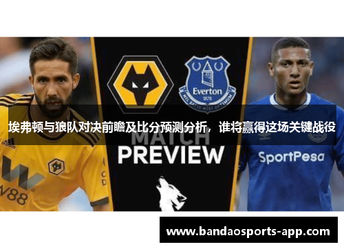 埃弗顿与狼队对决前瞻及比分预测分析，谁将赢得这场关键战役