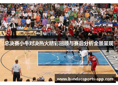 总决赛小牛对决热火精彩回顾与赛后分析全景呈现